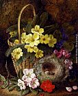 Still Life with Primroses, Violas, cherry Blossom and Geraniums and a Thrush's Nest by George Clare